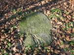 Alševa.  cemetery Old