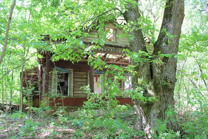Staroje Zakružža. Manor 