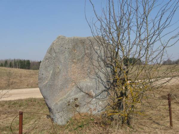 Chviedzievičy. Glacial erratic 