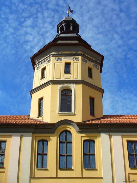  - Замок Радзивиллов Реконструкция, 2010. 